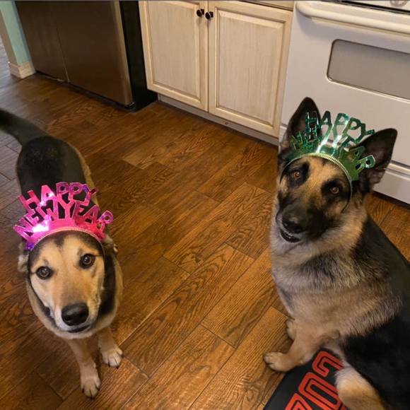 Meet your Posher, Drienne - Picture 1 of 1